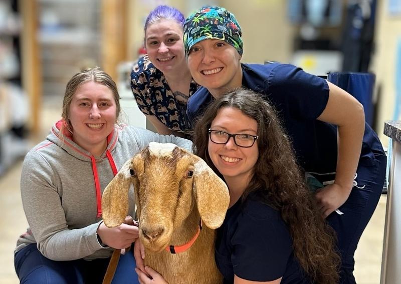 Carousel Slide 16: Loretta just stopped in for a quick visit!