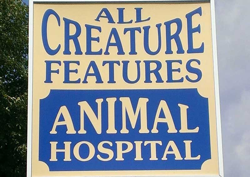 Carousel Slide 23: Learn more about our hospital!