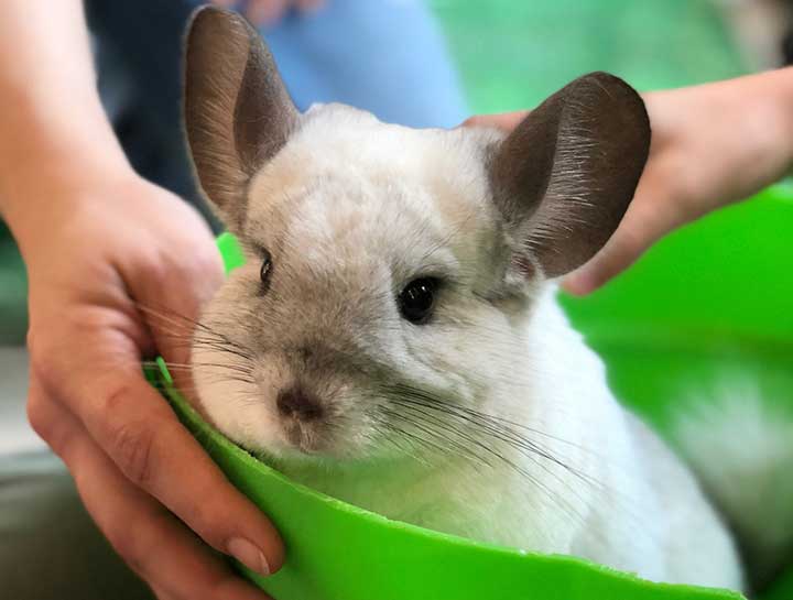 La Porte Small Animal Hospital