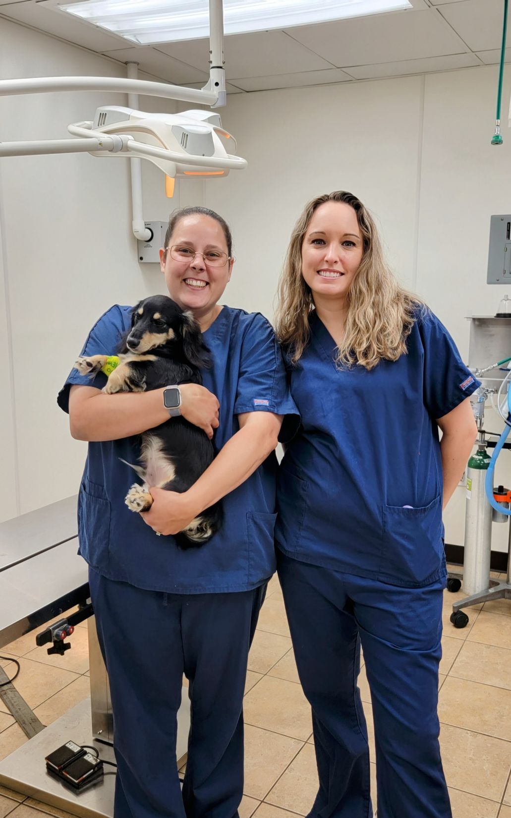 Education and training programs